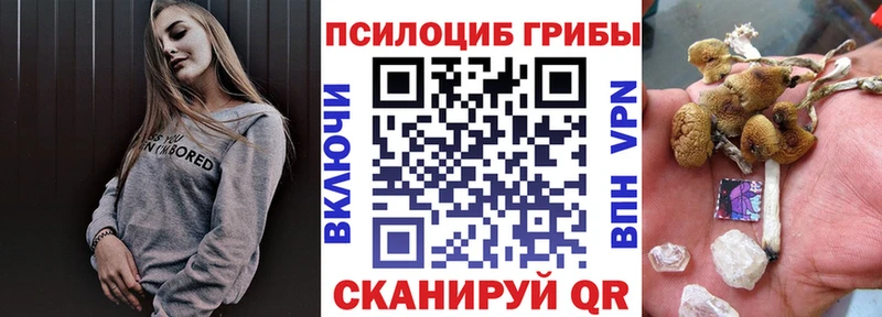 Купить где  Дыгулыбгей  Псилоцибиновые грибы GOLDEN TEACHER 